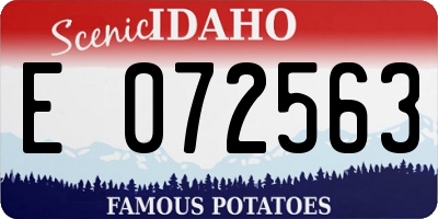 ID license plate E072563