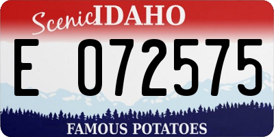 ID license plate E072575