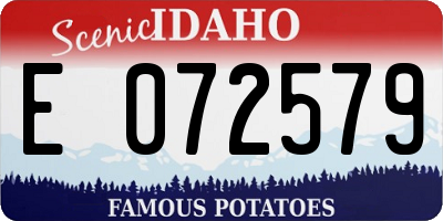 ID license plate E072579
