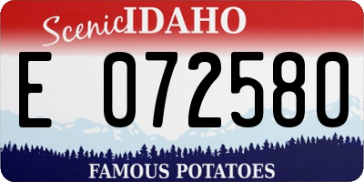 ID license plate E072580