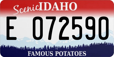 ID license plate E072590