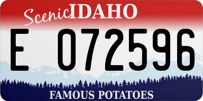ID license plate E072596