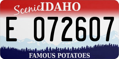 ID license plate E072607
