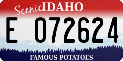 ID license plate E072624
