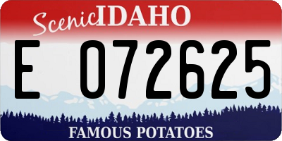 ID license plate E072625