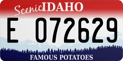 ID license plate E072629