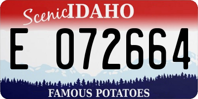 ID license plate E072664