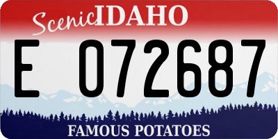 ID license plate E072687
