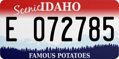 ID license plate E072785
