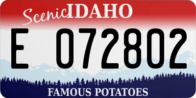 ID license plate E072802