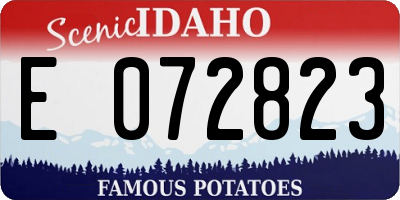 ID license plate E072823