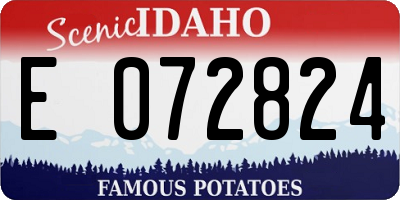 ID license plate E072824