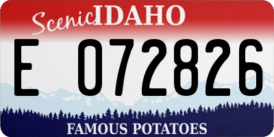 ID license plate E072826