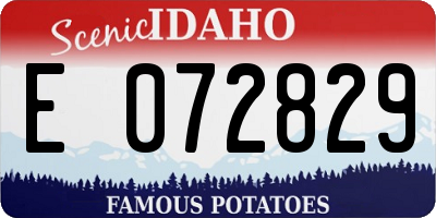 ID license plate E072829