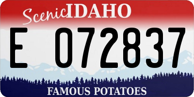 ID license plate E072837