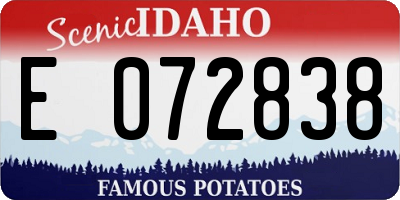 ID license plate E072838