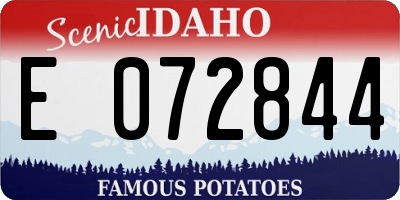 ID license plate E072844