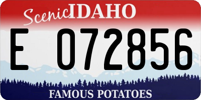 ID license plate E072856
