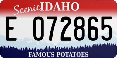 ID license plate E072865