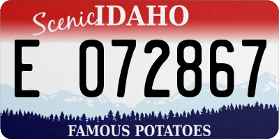 ID license plate E072867