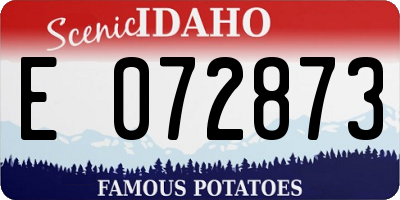 ID license plate E072873