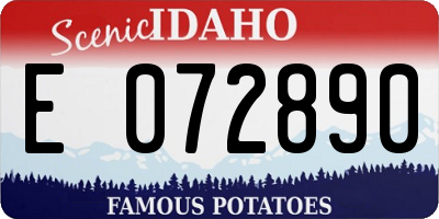 ID license plate E072890