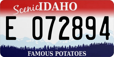ID license plate E072894