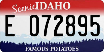 ID license plate E072895