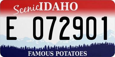 ID license plate E072901