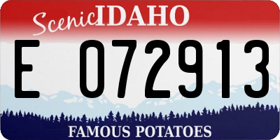 ID license plate E072913