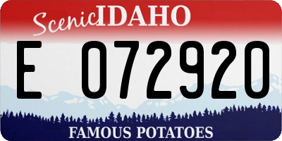 ID license plate E072920