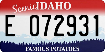 ID license plate E072931