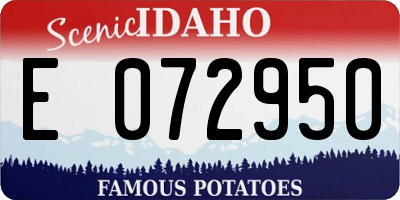 ID license plate E072950