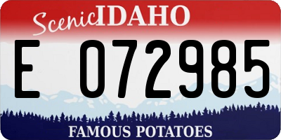 ID license plate E072985