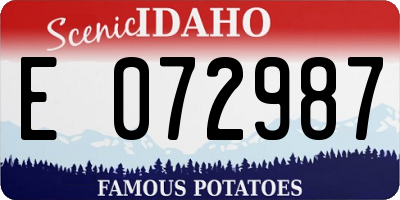 ID license plate E072987