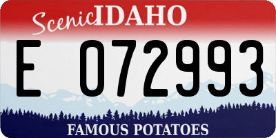ID license plate E072993