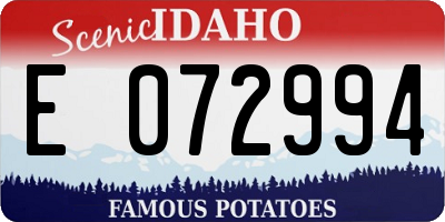 ID license plate E072994