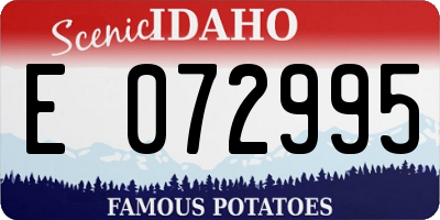ID license plate E072995