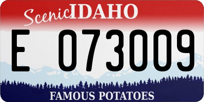 ID license plate E073009