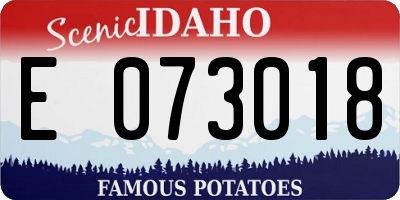 ID license plate E073018