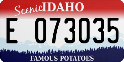 ID license plate E073035