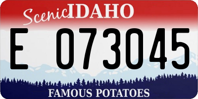 ID license plate E073045