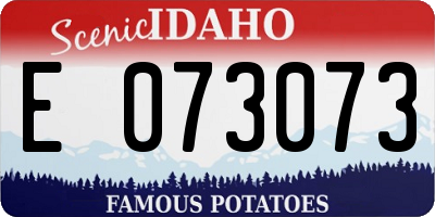 ID license plate E073073