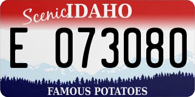ID license plate E073080
