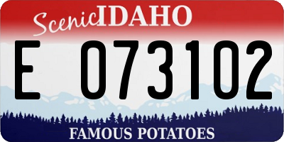 ID license plate E073102