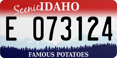 ID license plate E073124