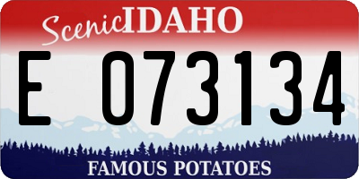 ID license plate E073134