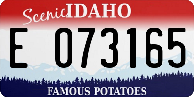 ID license plate E073165