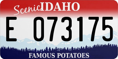 ID license plate E073175