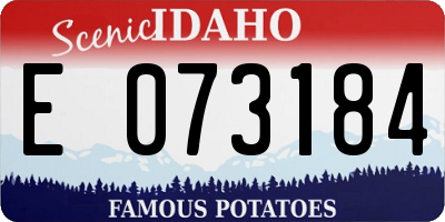 ID license plate E073184
